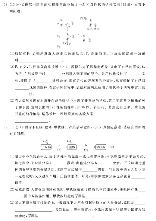 长寿川维搬迁最新动态，转型与升级的新篇章开启