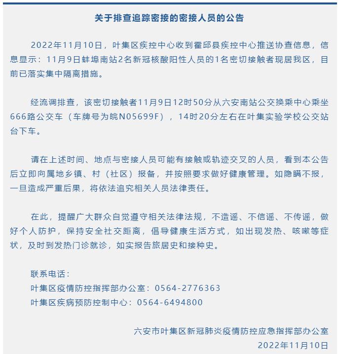 叶集最新新闻视频，时事热点与地方发展动态聚焦