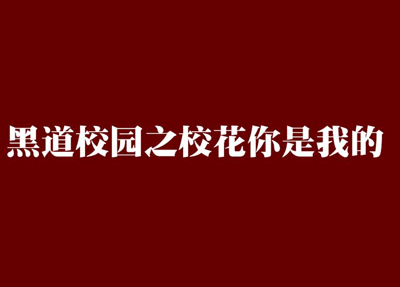 黑道校花下载，风云网络小说中的魅力人物与故事探秘