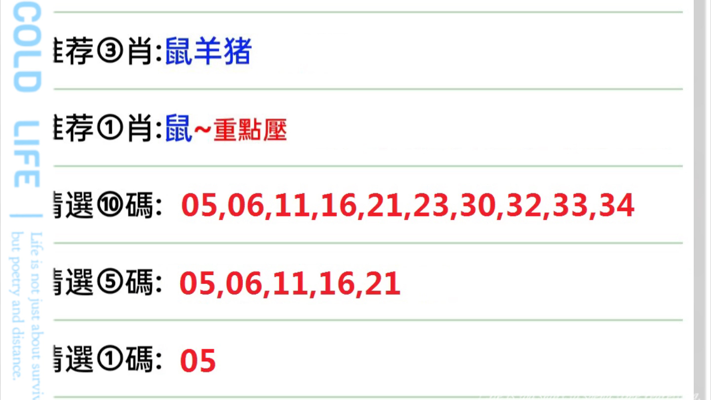 澳门今晚开特马+开奖结果三合,效率资料解释定义_专业版70.984