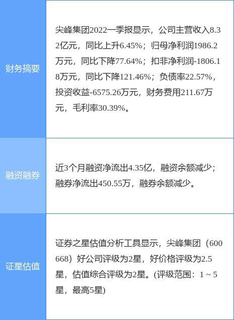 尖峰集团最新十大股东名单全景解析