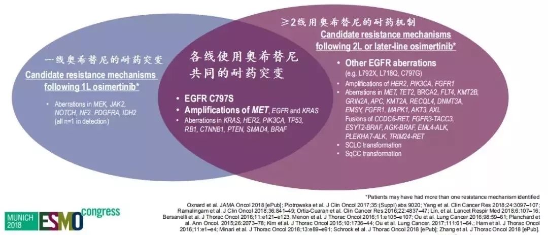 2024新奥精选免费资料,精细化策略定义探讨_VIP97.455