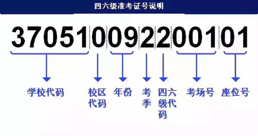 2o24年新澳正版资料大全视频,实地策略计划验证_Ultra78.421