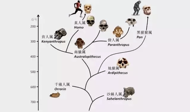 新澳门三期必开一期,动态调整策略执行_视频版67.965