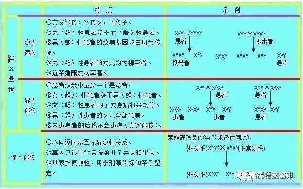 新澳门三肖三码必中特,连贯评估方法_策略版32.652