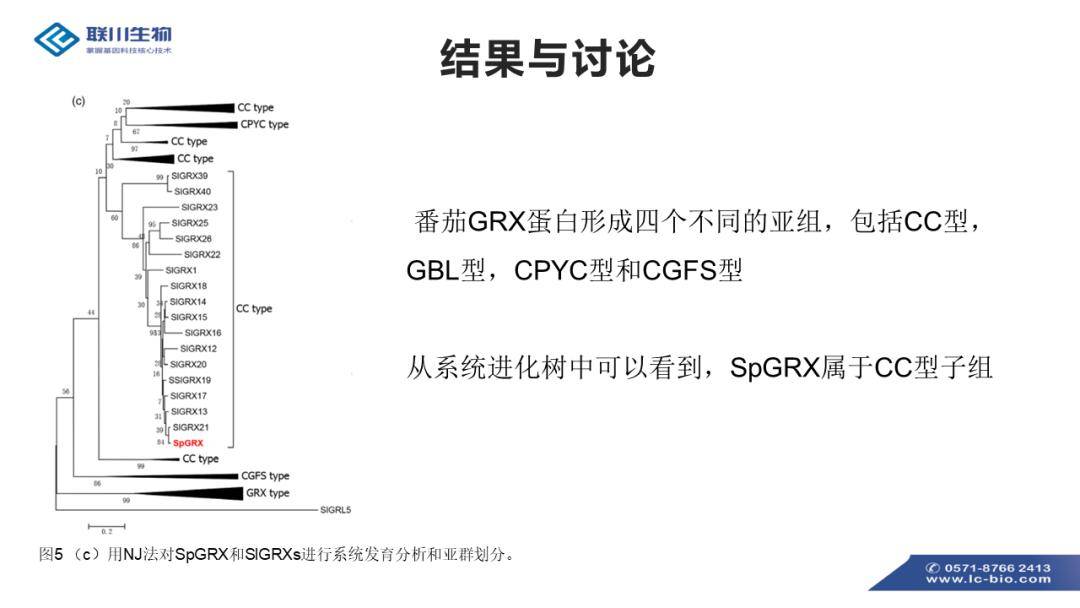 626969澳彩资料大全2022年新功能,灵活解析方案_顶级款32.63