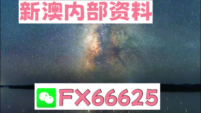 2024新澳天天资料免费大全,精细化解读说明_V版52.666