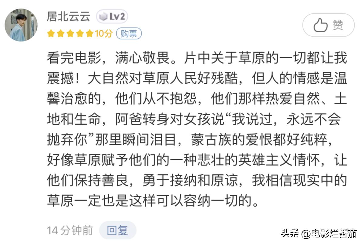 哭泣的草原，生态平衡的悲歌与觉醒的呼唤