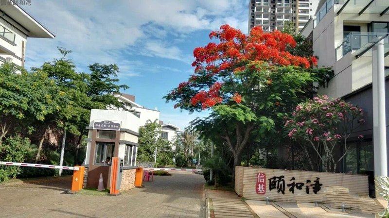 临高颐和湾最新动态，揭示崭新面貌的热土