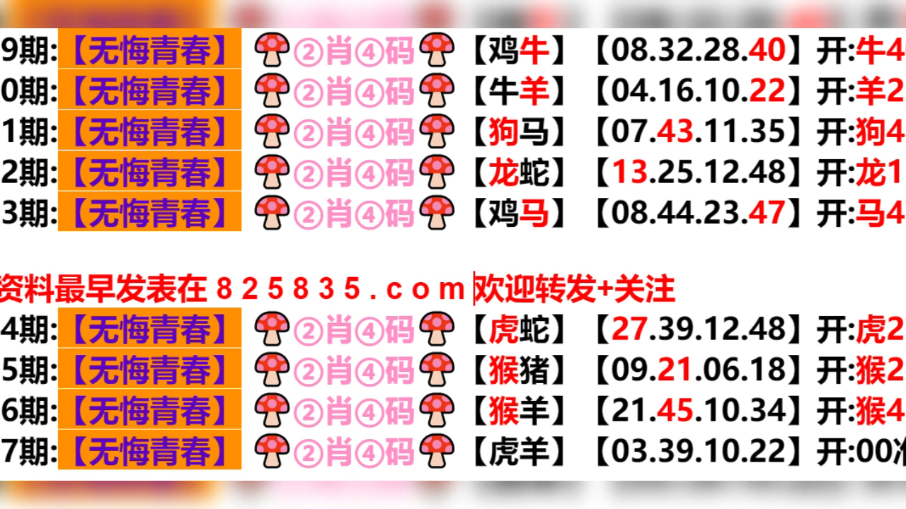 新奥门六开奖结果2024开奖记录,可靠研究解释定义_尊享款70.404