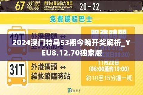 2024新澳门今晚开特马直播,科技评估解析说明_豪华款40.256