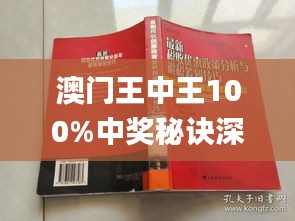 澳门王中王100%正确答案最新章节,精细执行计划_投资版21.183