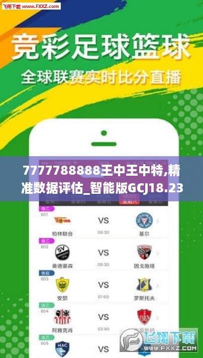 7777788888王中王中王特色功能,安全解析策略_云端版16.452