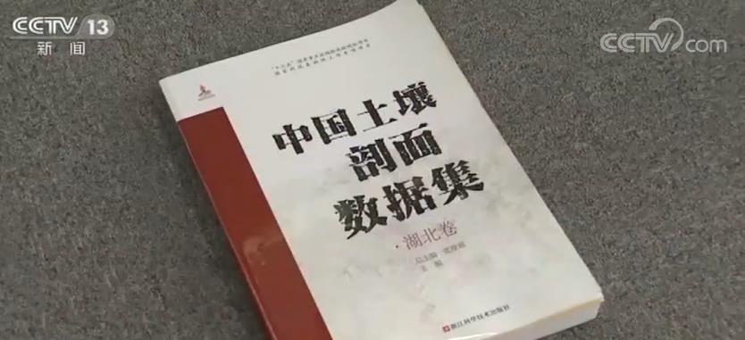 王中王资料大全料大全1,科学数据评估_入门版61.68