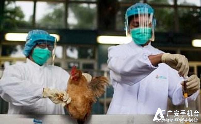 遂宁市H7N9疫情最新动态，全面防控，民众健康安全有保障