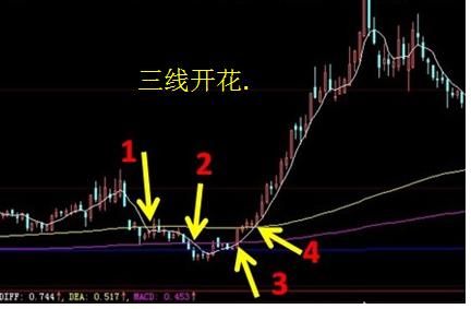 四期期准三期内必出,灵活解析执行_轻量版80.105