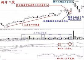 新澳2024年精准特马资料,创造力策略实施推广_高级款49.184