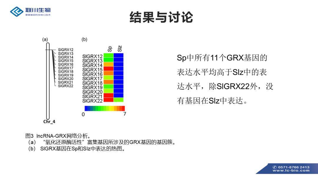 2024年濠江免费资料,调整方案执行细节_精简版105.220