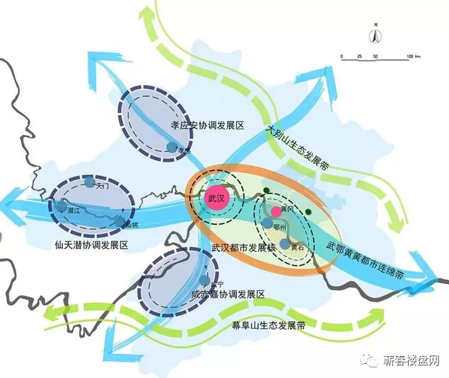 蕲春县特殊教育事业单位发展规划展望，未来展望与策略布局