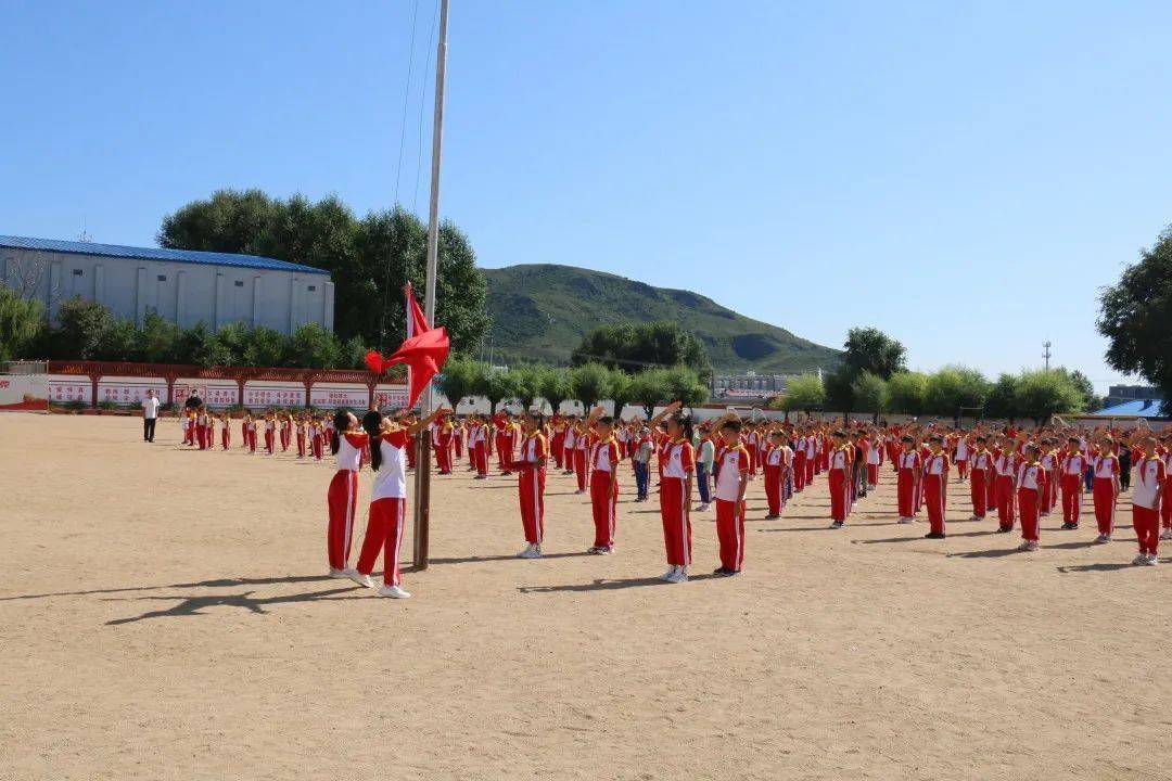 莫力达瓦达斡尔族自治旗小学最新动态报道