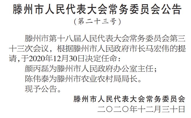 阳明区级托养福利事业单位人事任命揭晓及其深远影响