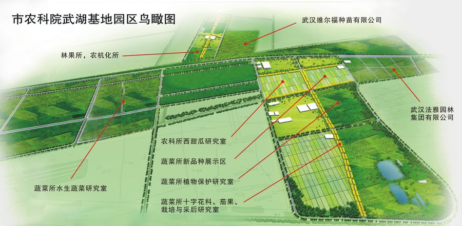 港闸区农业农村局最新发展规划，塑造乡村新面貌，推动农业现代化