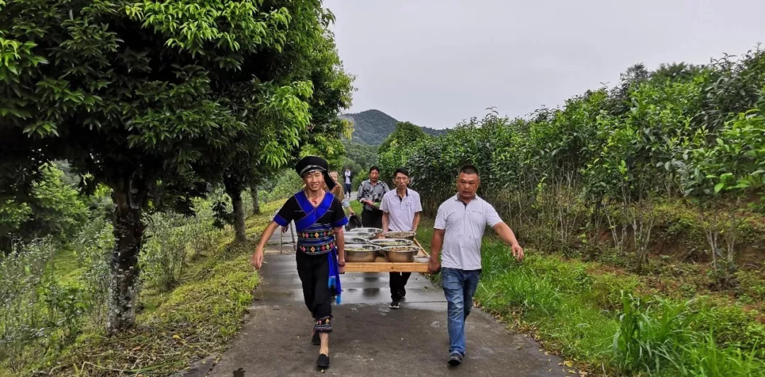 双江拉祜族佤族布朗族傣族自治县剧团最新项目，传承与创新并举的文化盛宴