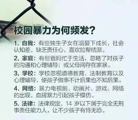 永新县初中未来教育蓝图，最新发展规划揭秘