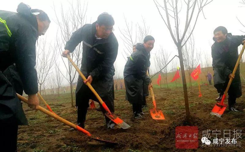 赤壁市数据和政务服务局最新项目进展深度解读报告