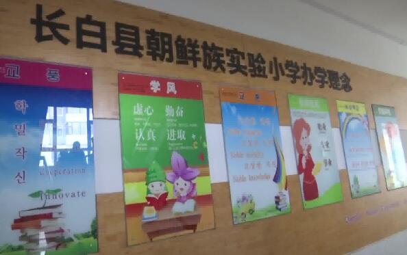 长白朝鲜族自治县小学最新发展规划