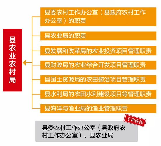 苍南县农业农村局新项目推动农业现代化，乡村振兴再添新动力