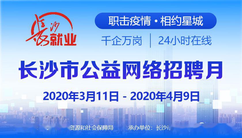 沙市区统计局最新招聘信息全面解析