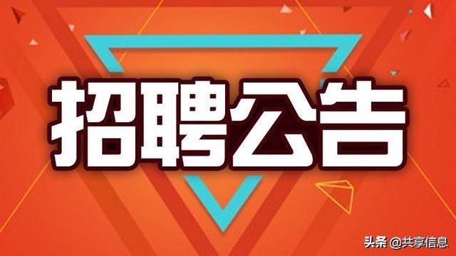 修武县小学最新招聘公告概览