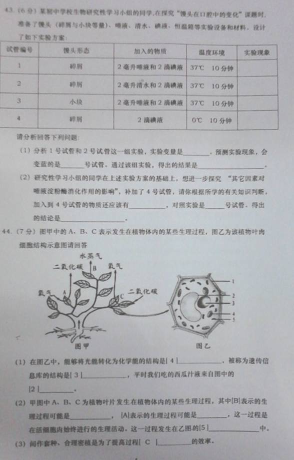 建水县初中人事新任命，开启教育新篇章