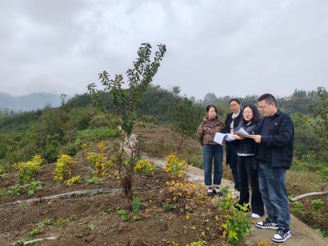 巫溪县审计局新项目推动审计现代化，助力县域经济腾飞