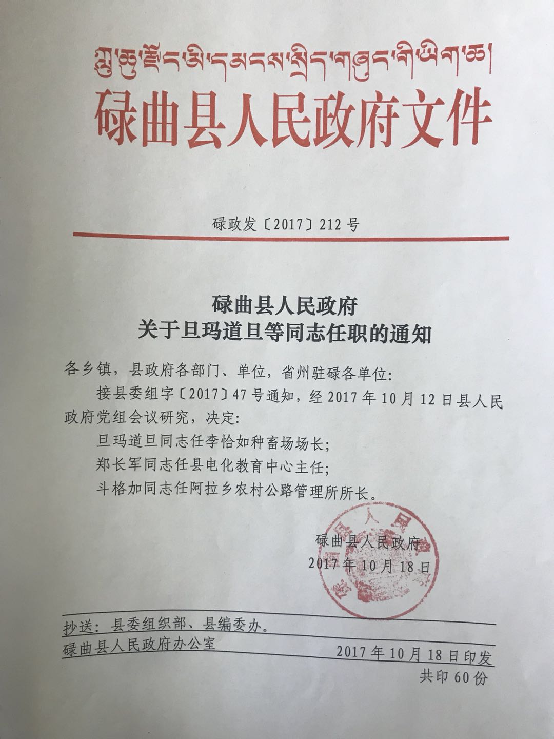 墨竹工卡县数据和政务服务局最新人事任命动态解析