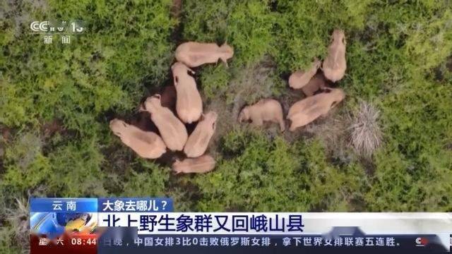 永安社区村最新天气预报