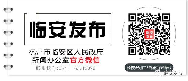 临安市医疗保障局最新招聘启事