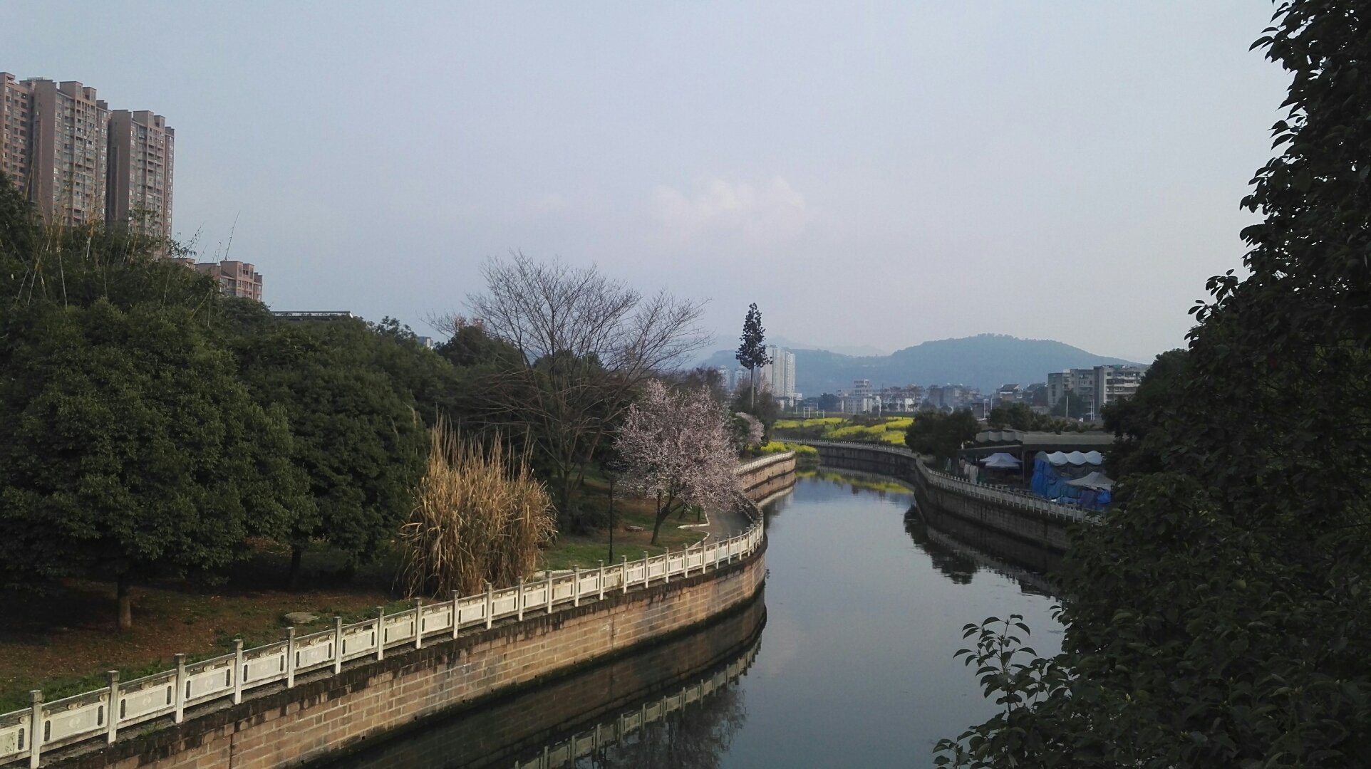 龙泉街道天气预报最新详解