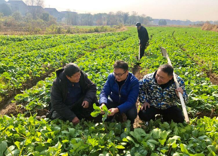 好力保乡乡村振兴与社区发展新篇章揭晓，最新新闻报道！